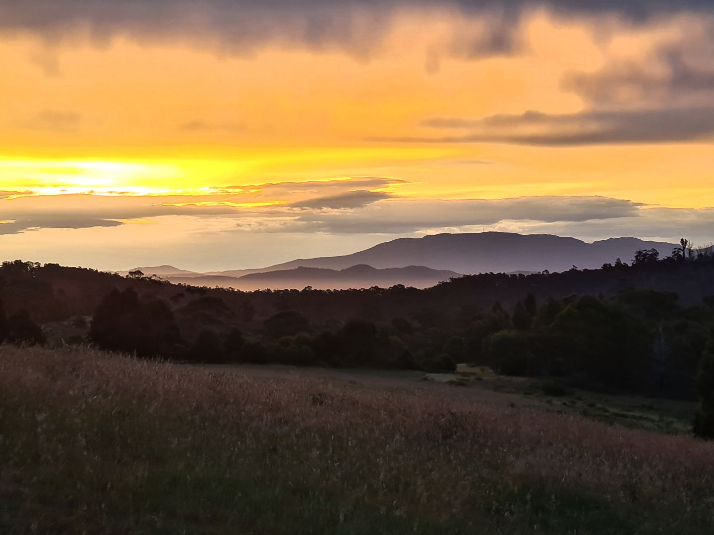 573 White Hill Road, Forcett Property History & Address Research Domain