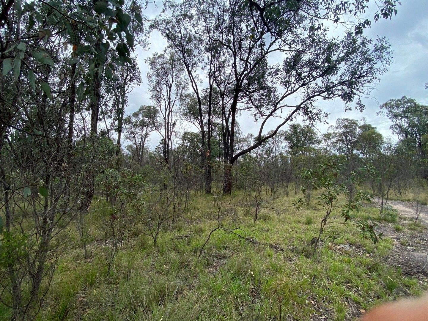 Lot 25 Vickery Road, Goranba QLD 4421, Image 0