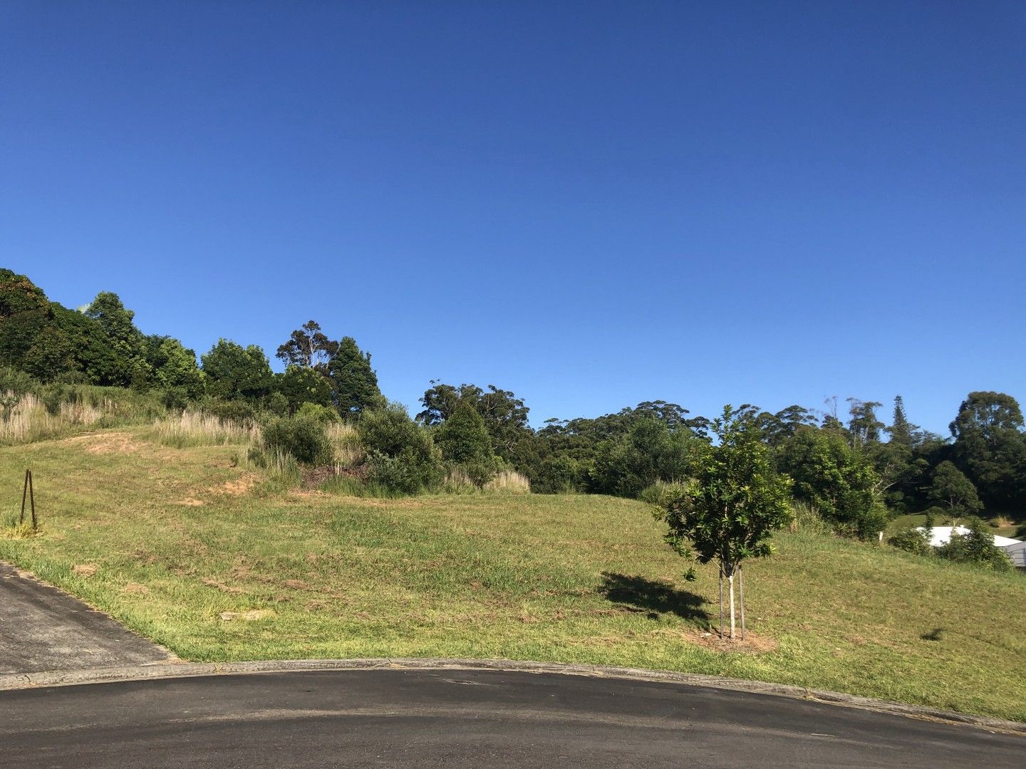 Vacant land in 6 Ibis Court, NAMBUCCA HEADS NSW, 2448