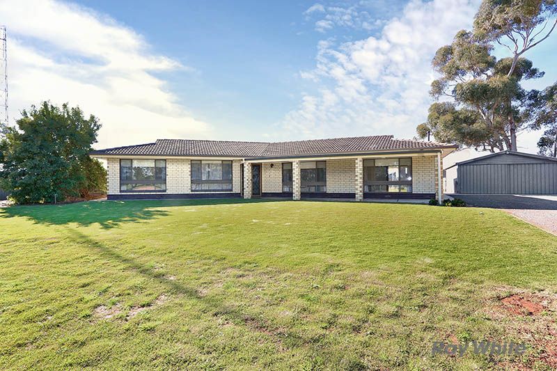 145 Wundke Road, BRINKWORTH SA 5464, Image 0