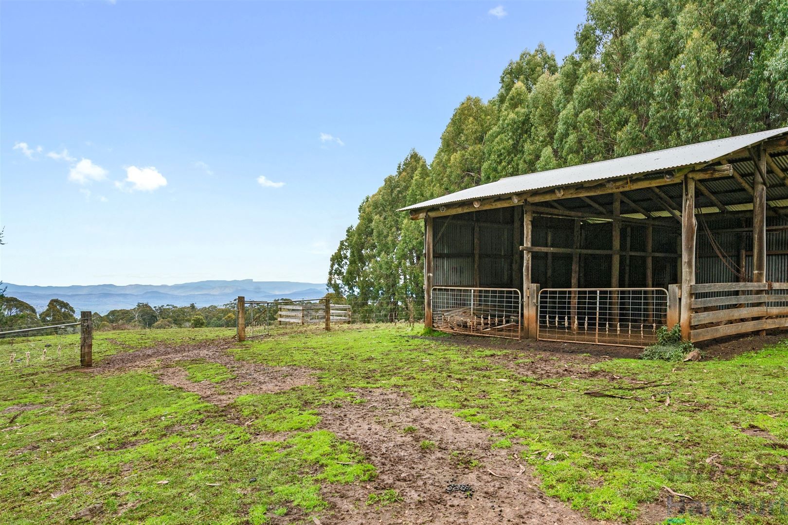 426 BUNSTONS ROAD, Tolmie VIC 3723, Image 2