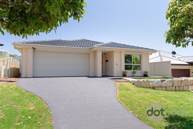 Picture of 14 Cuffley Street, BUTTABA NSW 2283