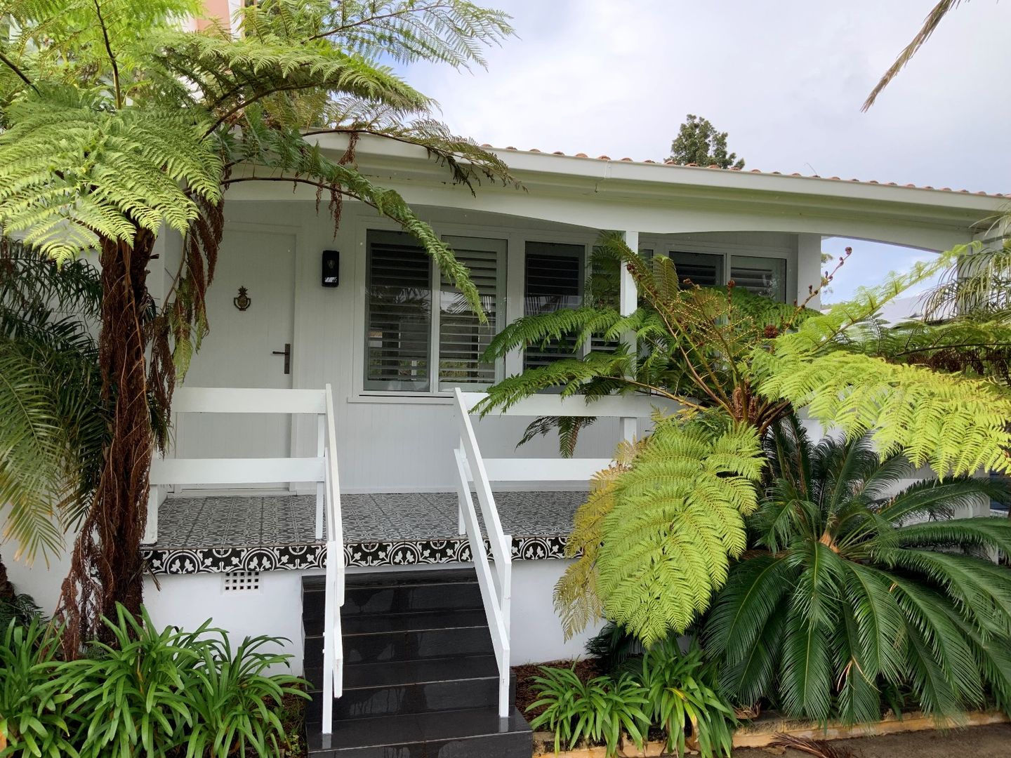 101 Horace Street, Shoal Bay NSW 2315 House For Rent Domain