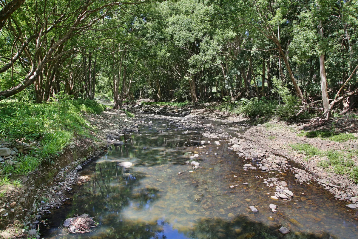 Image 28