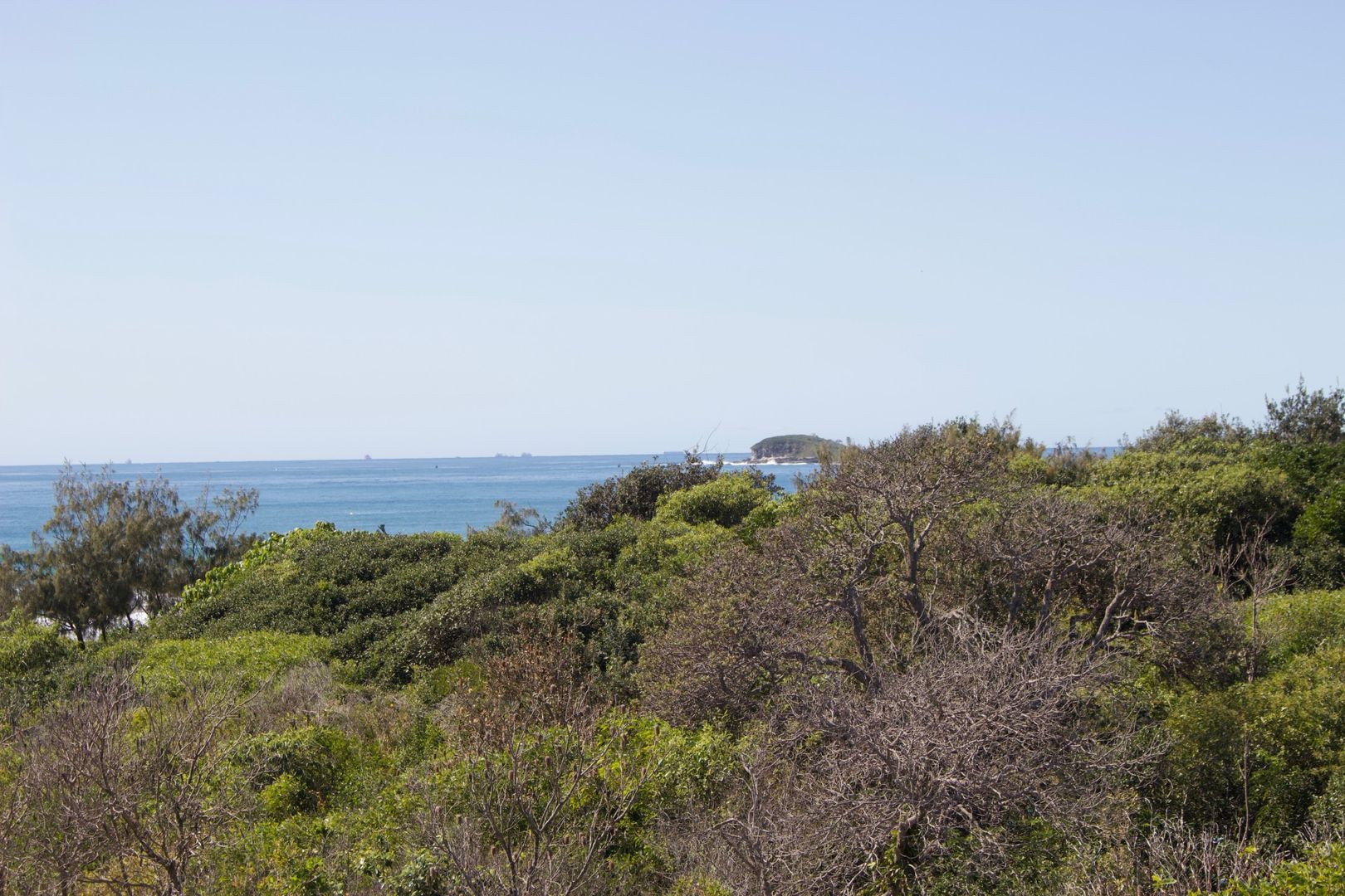 33 Green Turtle Place, Marcoola QLD 4564 Domain