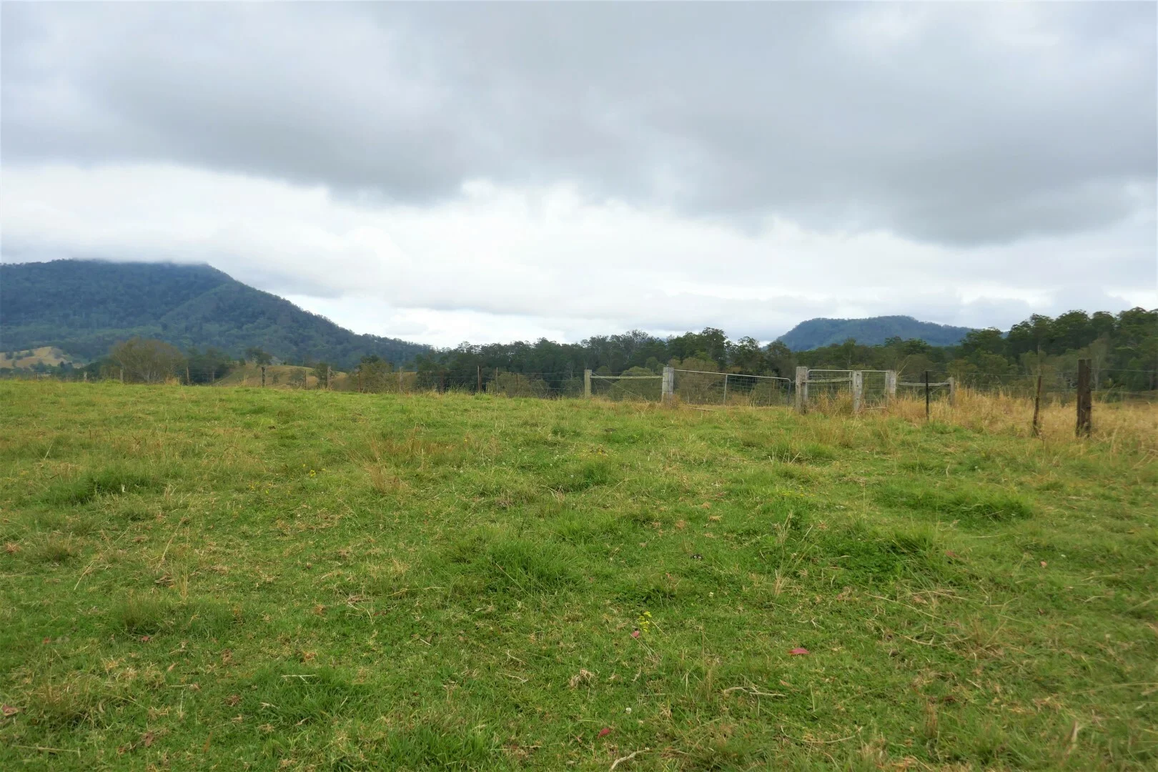 Additional image 16 of 35 Phelps Road, Kyogle NSW 2474