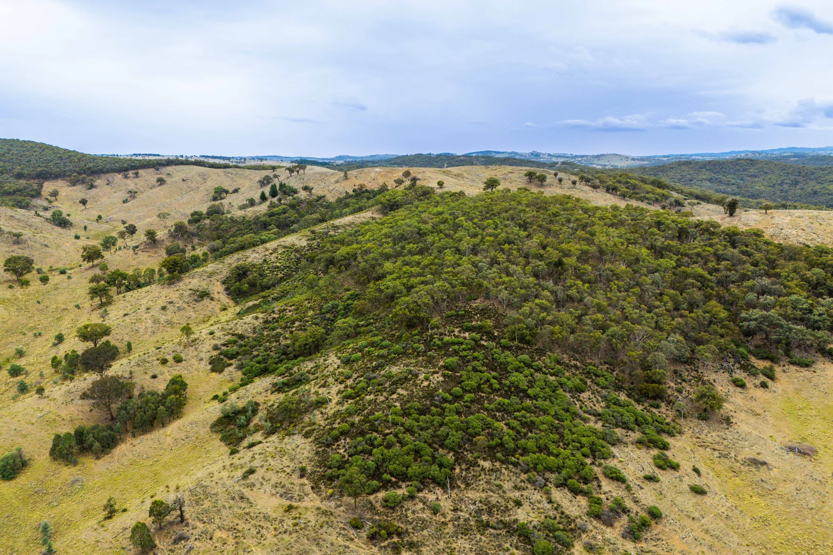 Additional image 31 of 678 Dry Creek Road, Lewis Ponds NSW 2800