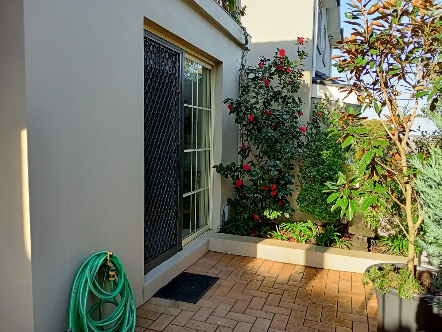 Additional image 11 of 50 White Street, Balgowlah NSW 2093