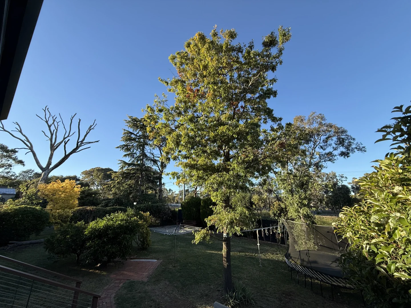 Additional image 16 of 31 Rosenthal Street, Campbell ACT 2612