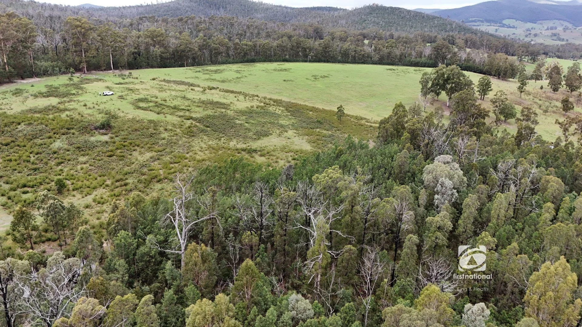 Additional image 5 of Lot 1/303 Basin Road, Buchan VIC 3885