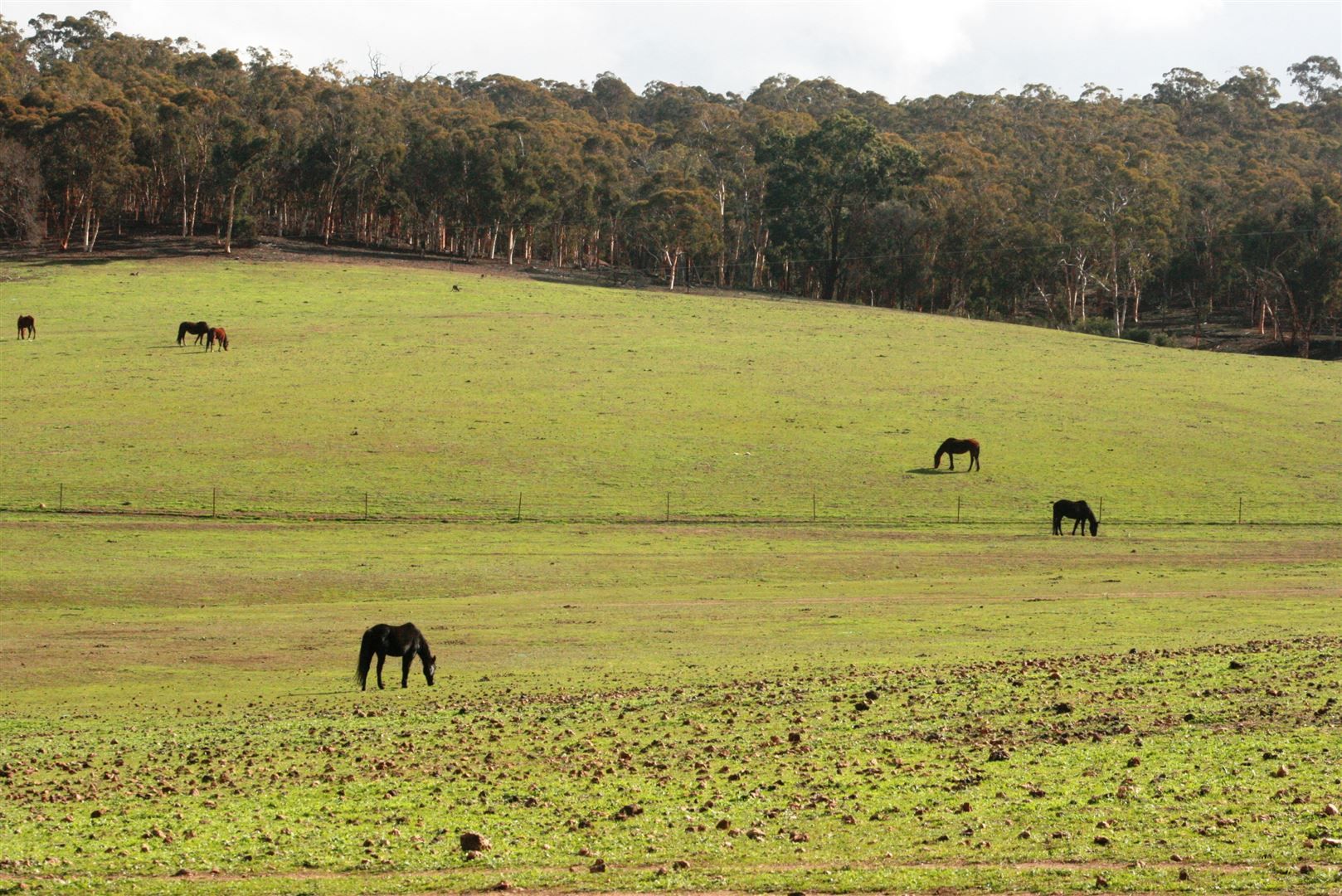 Bakers Hill WA 6562, Image 1