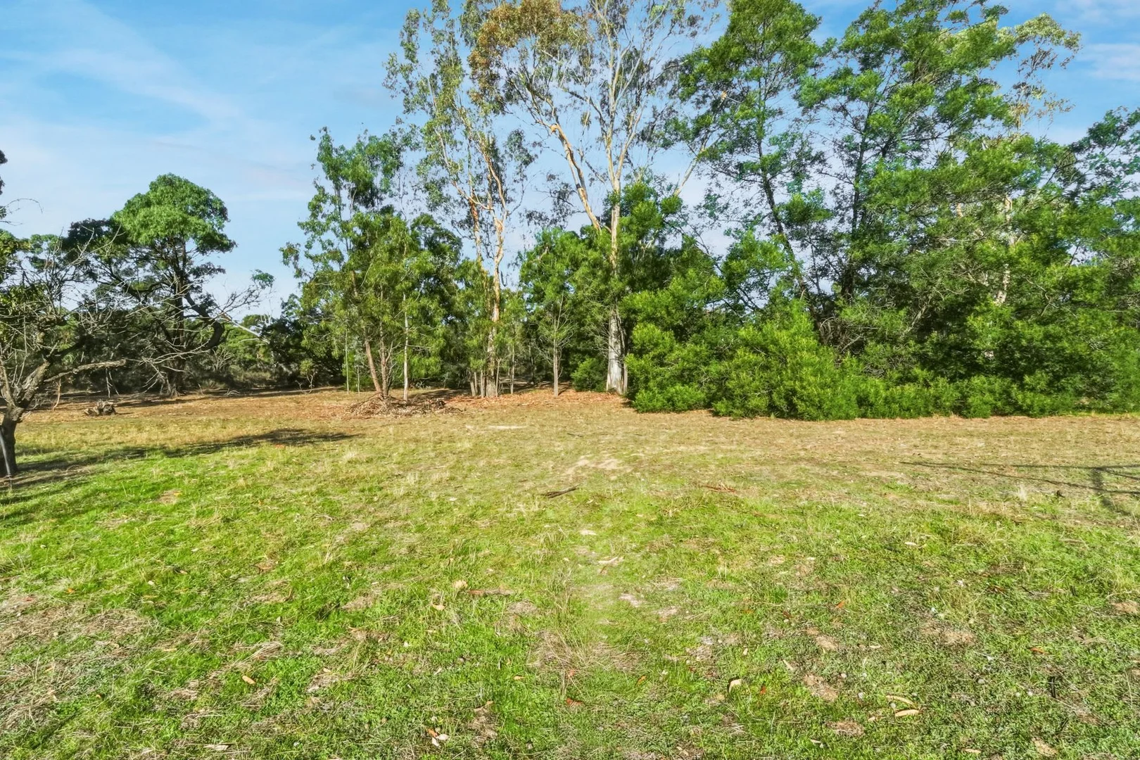 Image 15