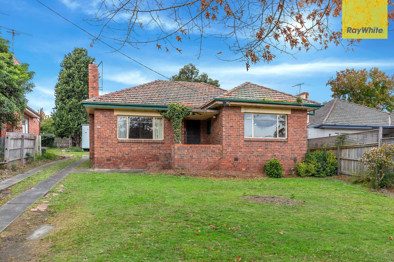 146 Elgar Road, Box Hill South VIC 3128, Image 1