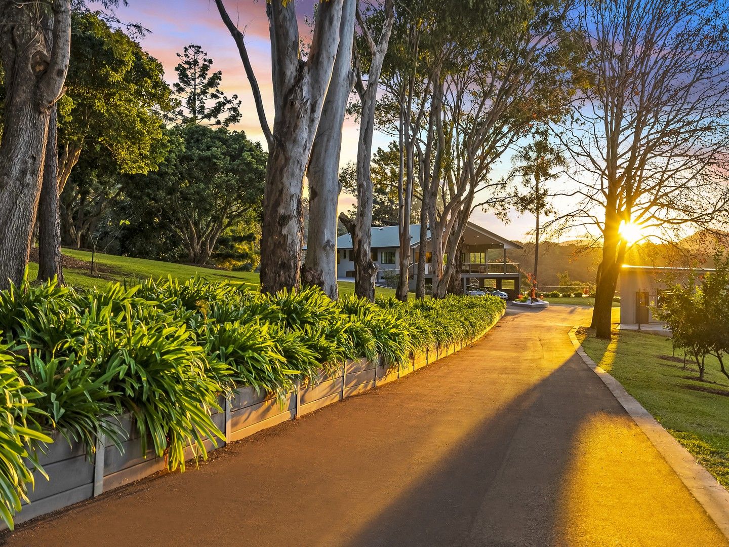 640 Trees Road, Tallebudgera QLD 4228 House for Sale Domain