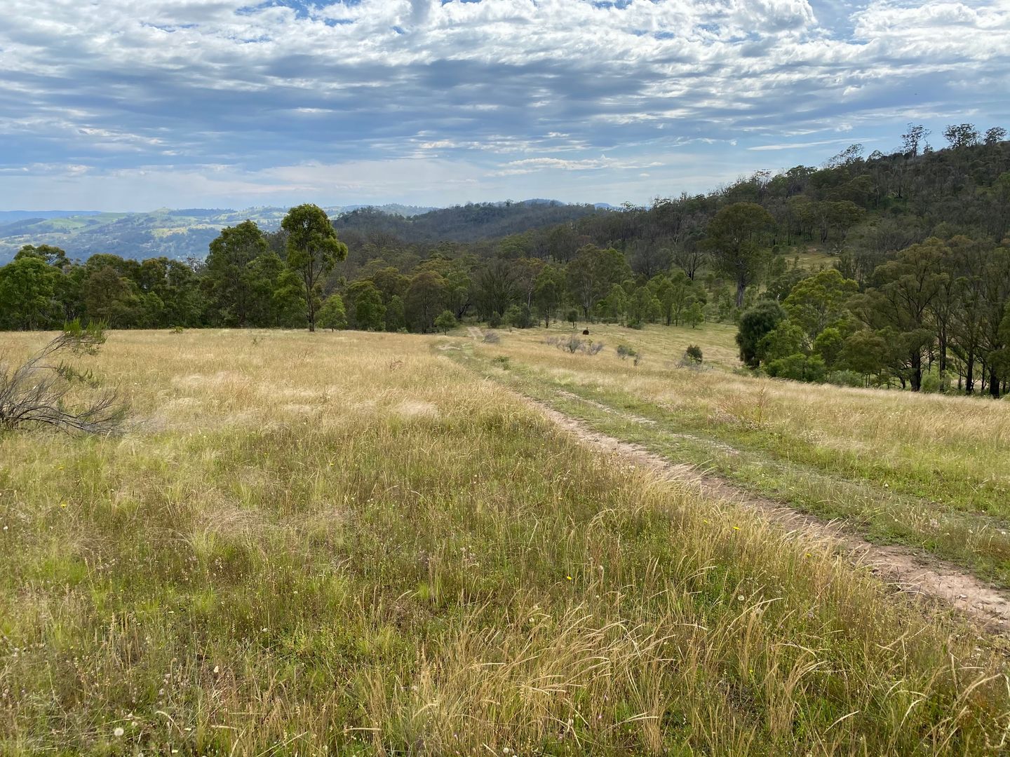 Lot 64 via Hanworth Road,, Bannaby NSW 2580, Image 2