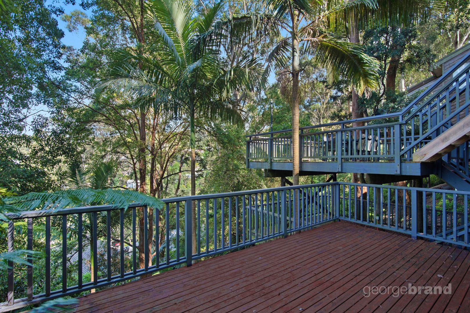 11 Francis Road, North Avoca NSW 2260 House For Rent Domain