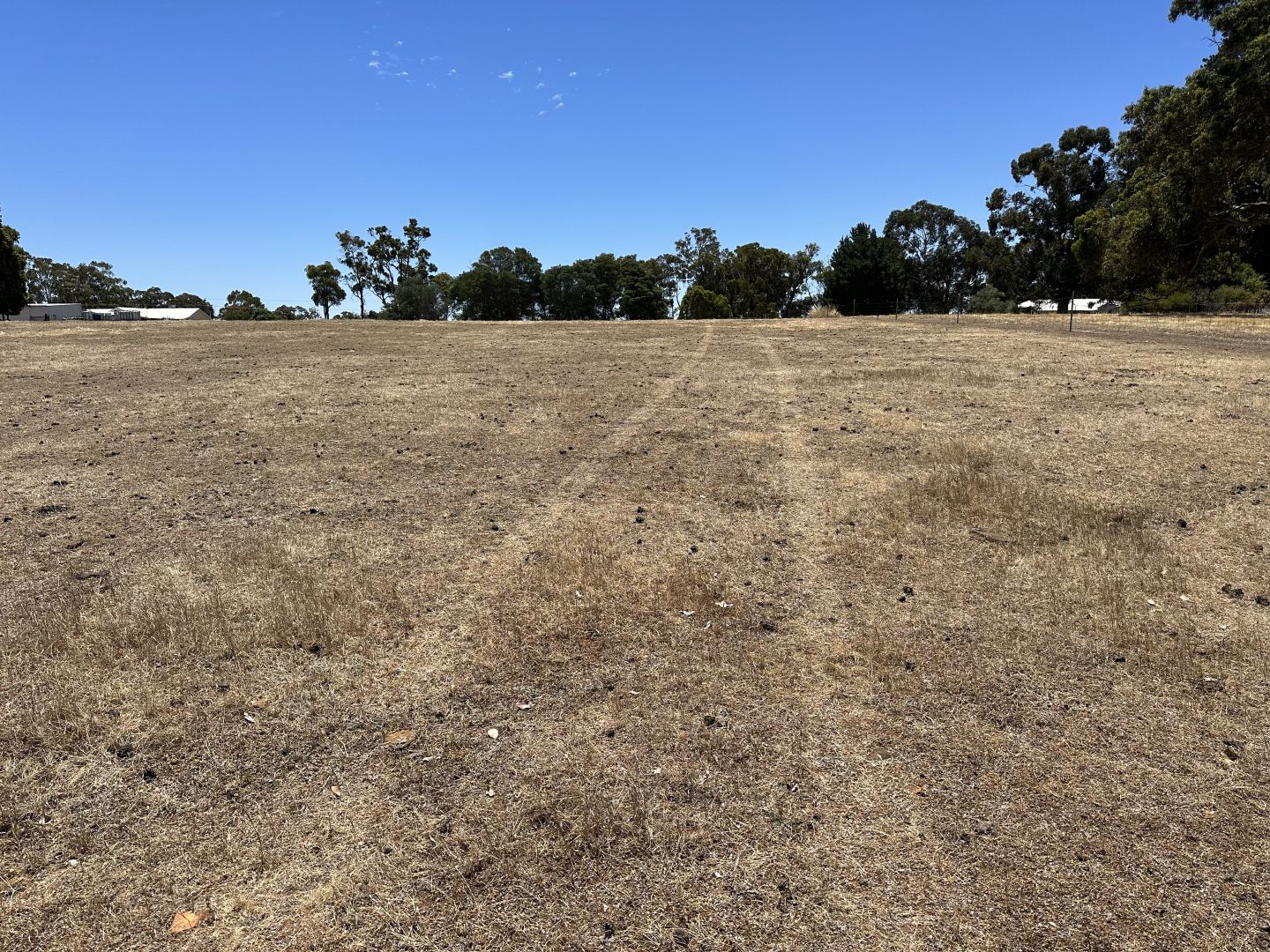 Lot 12 Rocky Gully-Frankland Rd, Frankland River WA 6396, Image 2