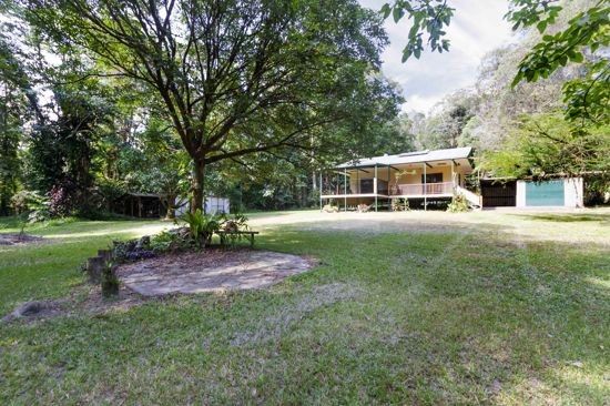 3 Forest Creek Road, Daintree QLD 4873, Image 1