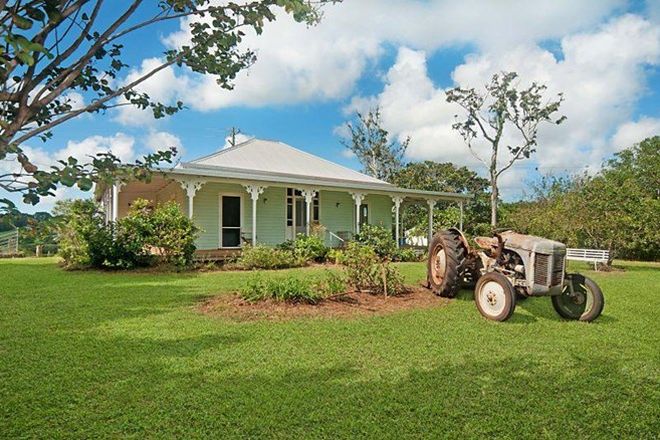 Picture of 628 Pearces Creek Road, ALSTONVALE NSW 2477
