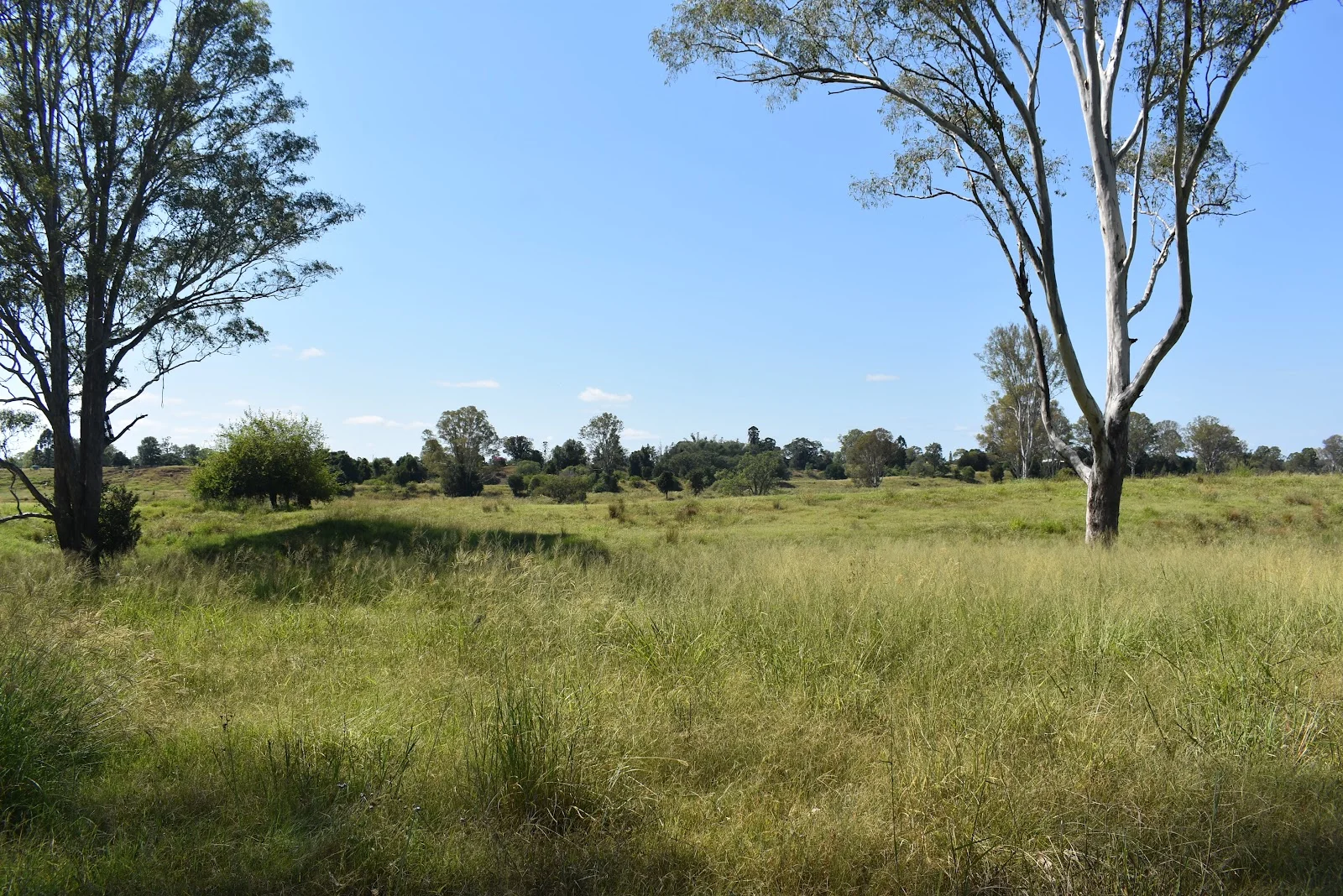 Additional image 8 of lot 103 Pidgeons Road, Tiaro QLD 4650