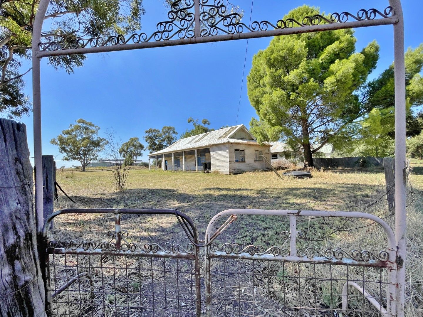 Lot 1, 5, 6 & 7 Glasson Street, Quandialla via, Young NSW 2594, Image 0