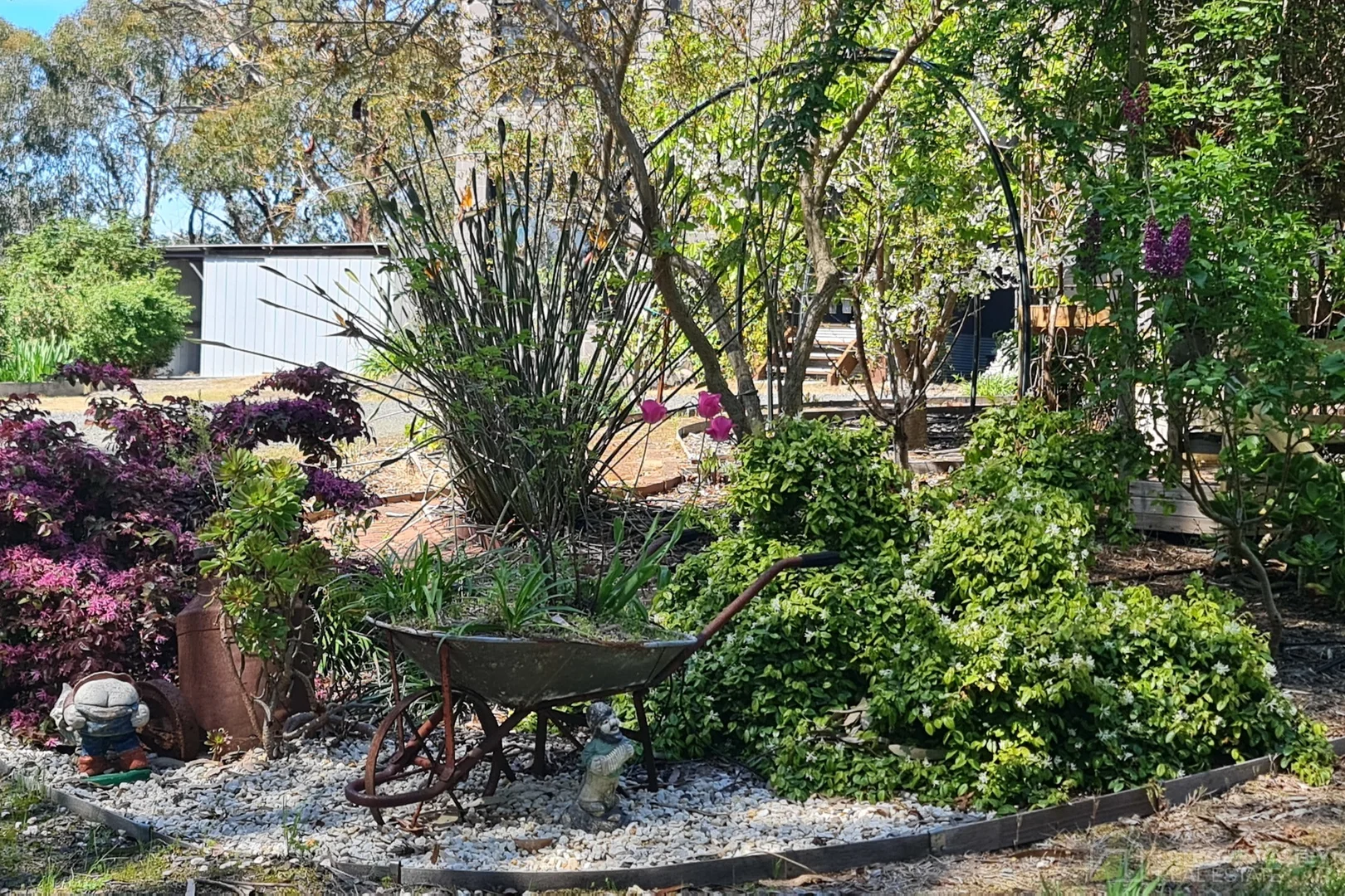 Image 18