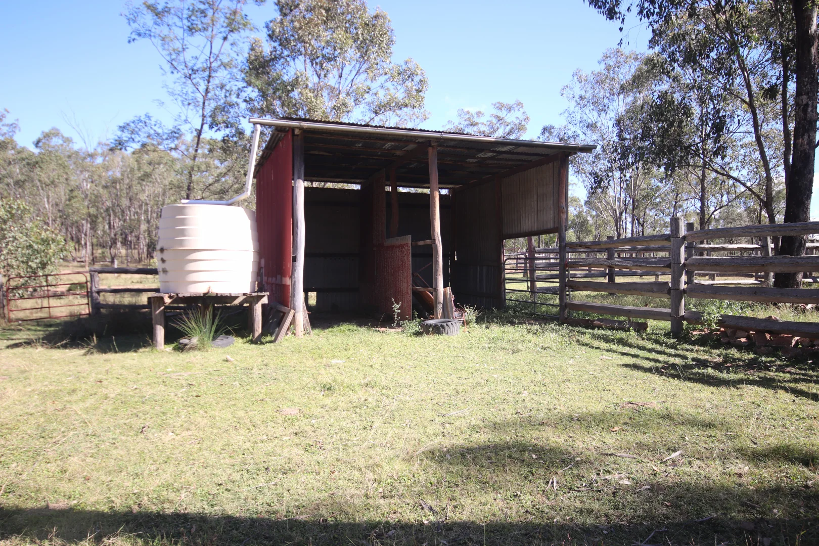 Image 6