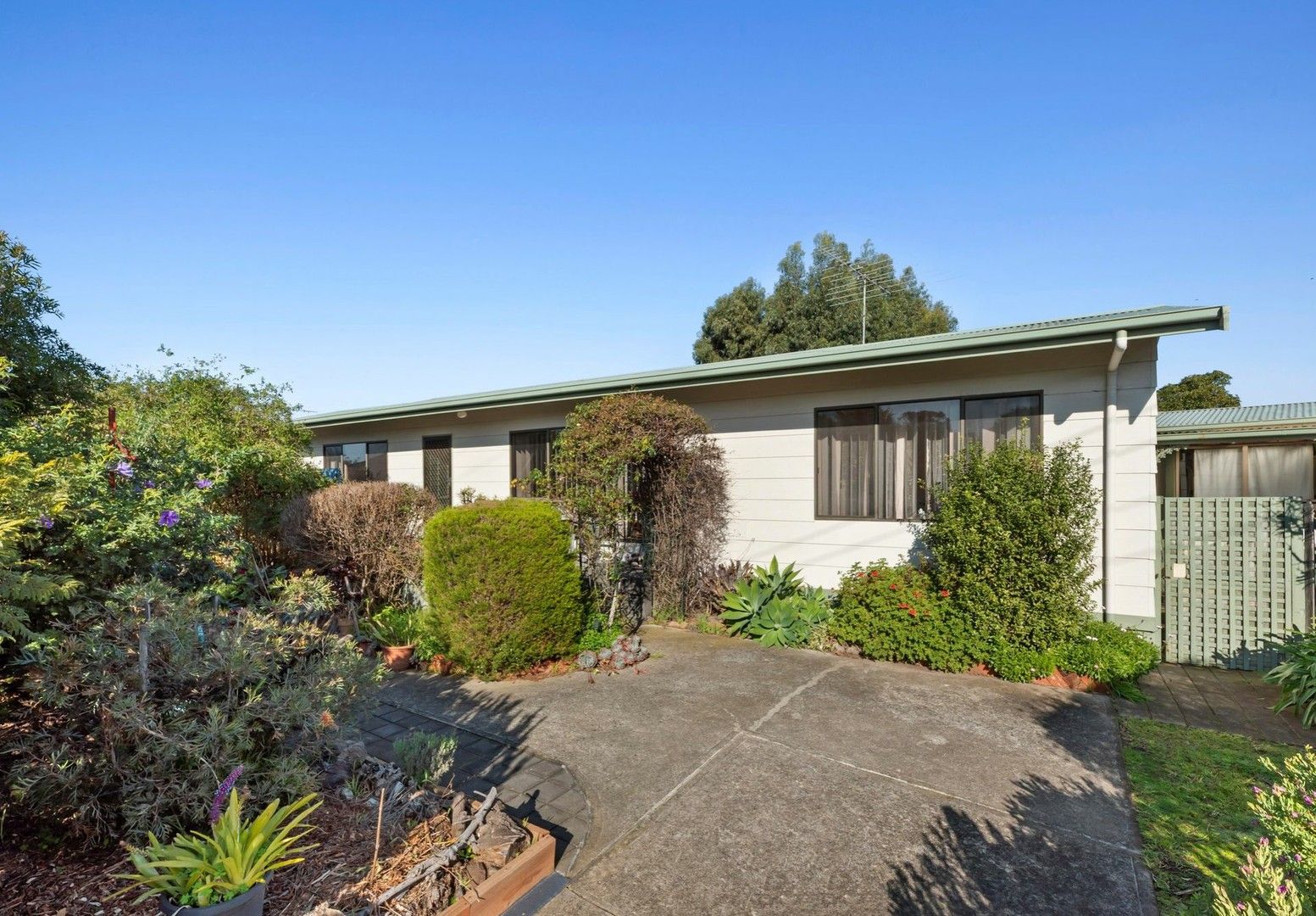 24 Doongara Avenue, St Leonards VIC 3223, Image 0