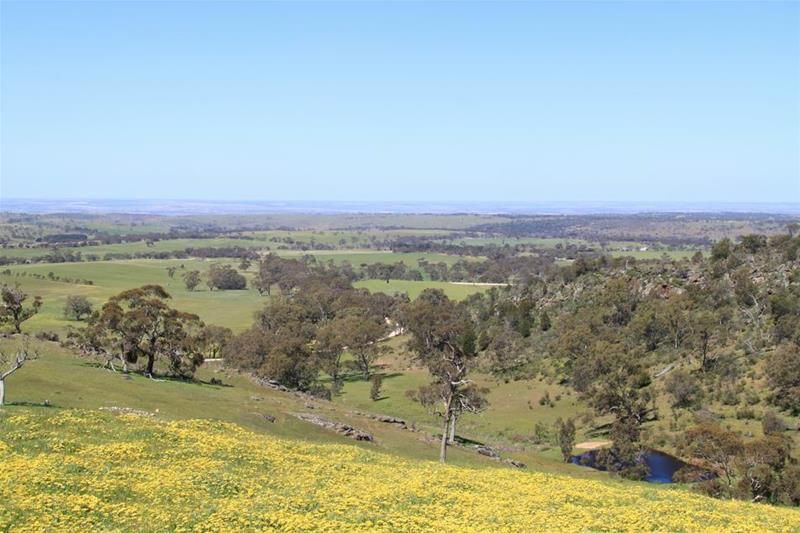 Allotment 201 Black Heath Road, Rockleigh SA 5254, Image 2