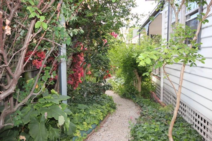 Additional image 10 of 38A Heath Avenue, Oakleigh VIC 3166