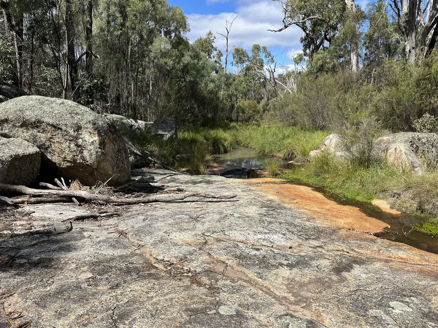 Image 13