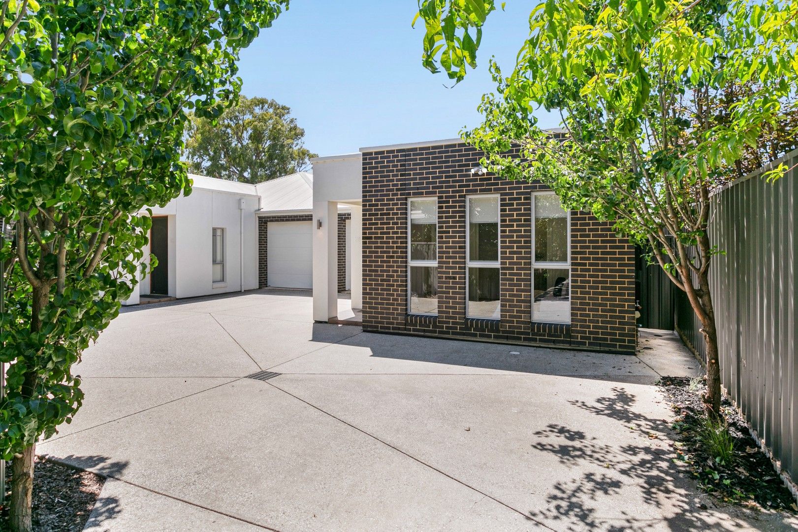 20B Ferry Avenue, Plympton Park SA 5038, Image 0