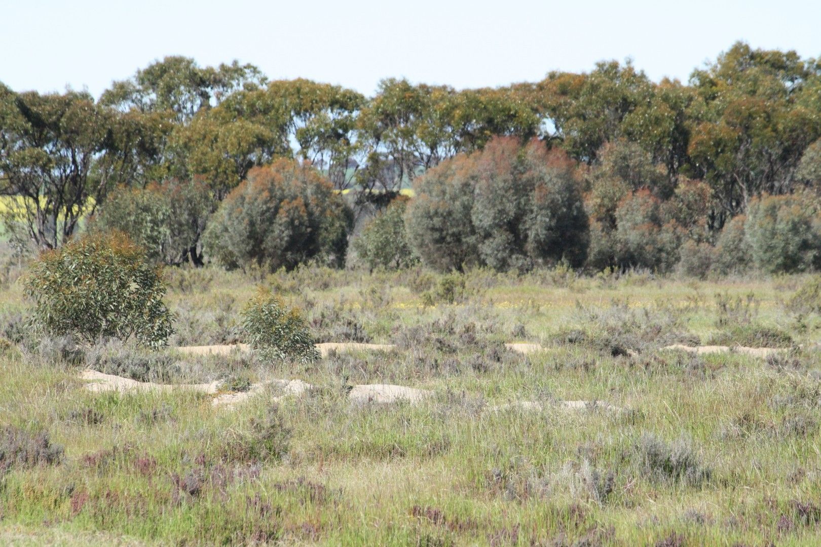 Lot 3 Rifle Range Rd, Dumbleyung WA 6350, Image 0