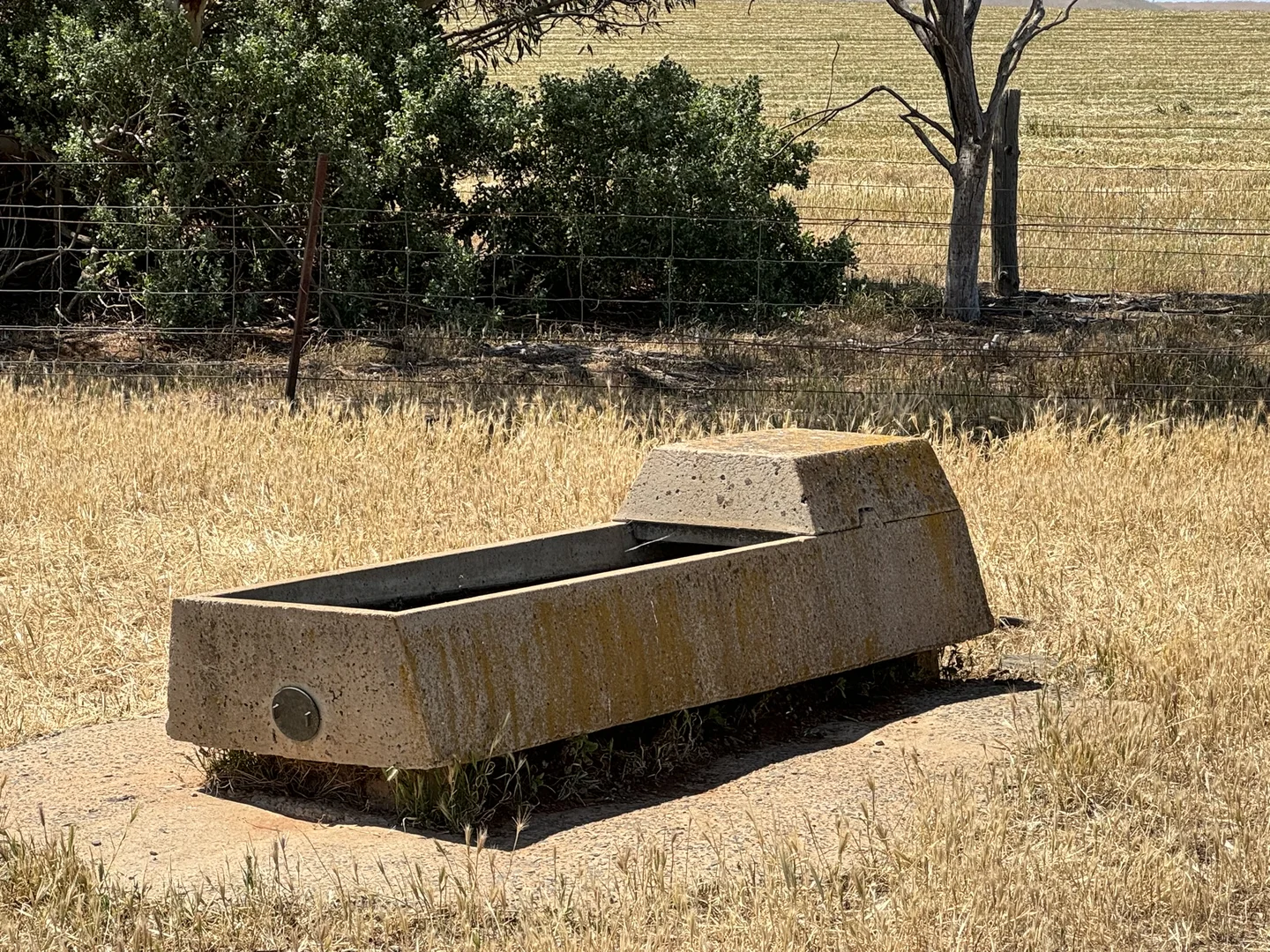 Image 18