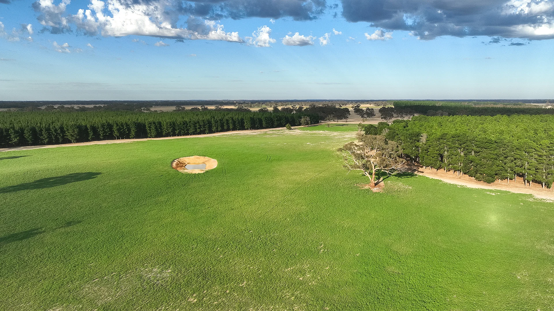 Additional image 31 of 2885 Frances Road, Bordertown SA 5268