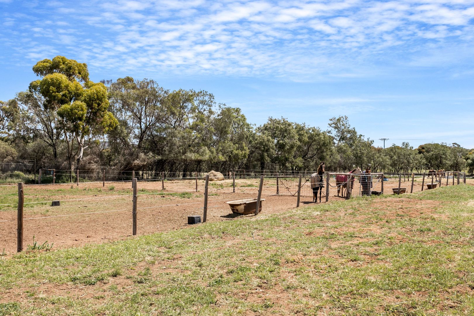 53 Old Swanport Road, Murray Bridge SA 5253, Image 1