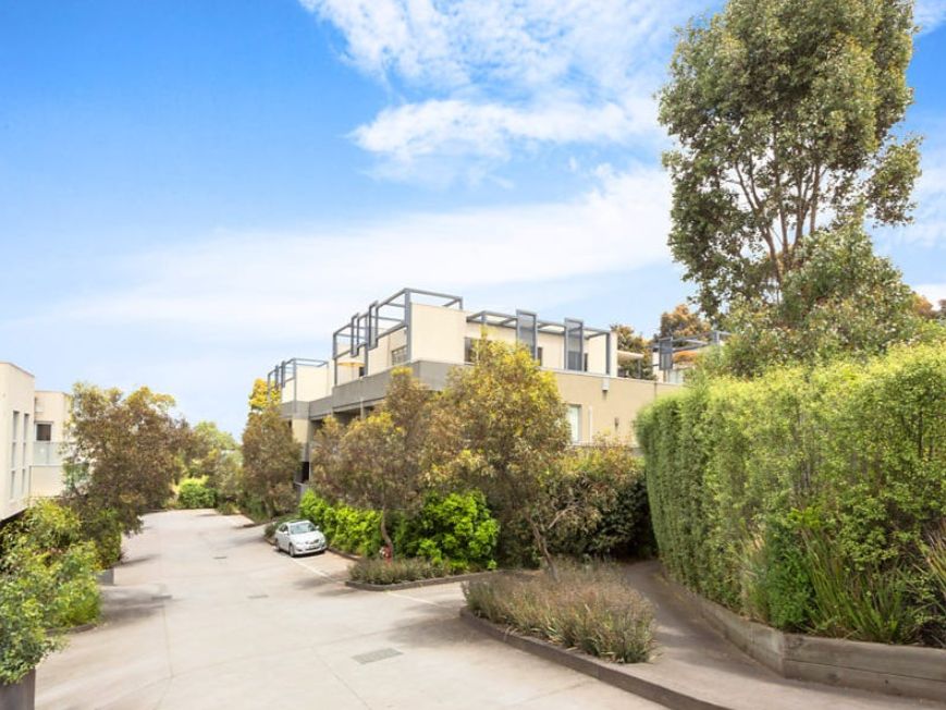 35/210 Normanby Road, Notting Hill VIC 3168 Apartment For Rent Domain