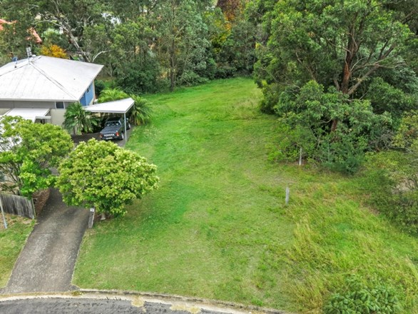 56 David Avenue, Tenambit NSW 2323