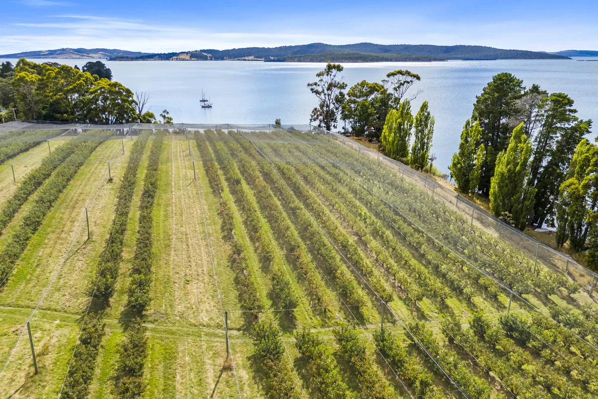 Additional image 5 of 3643 Channel Highway, Birchs Bay TAS 7162