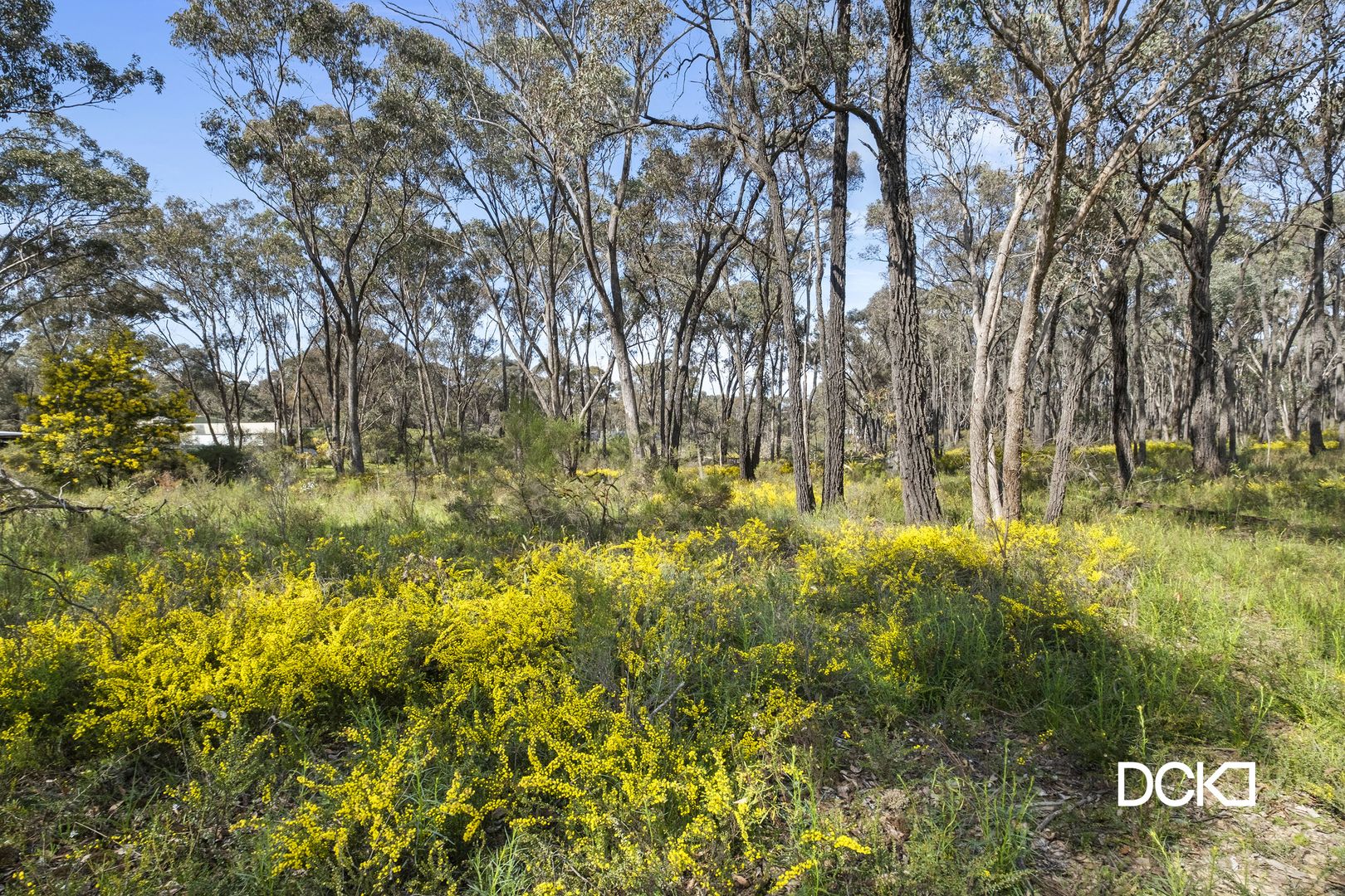 Wellsford Road, Junortoun VIC 3551, Image 2