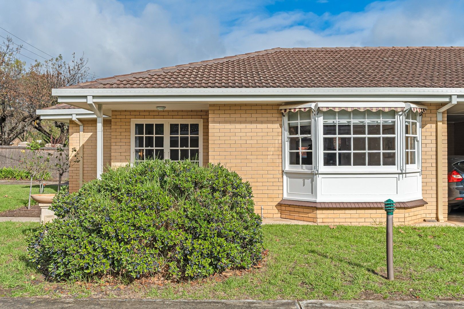 1/65 Tusmore Avenue, Tusmore SA 5065 Apartment For Rent Domain