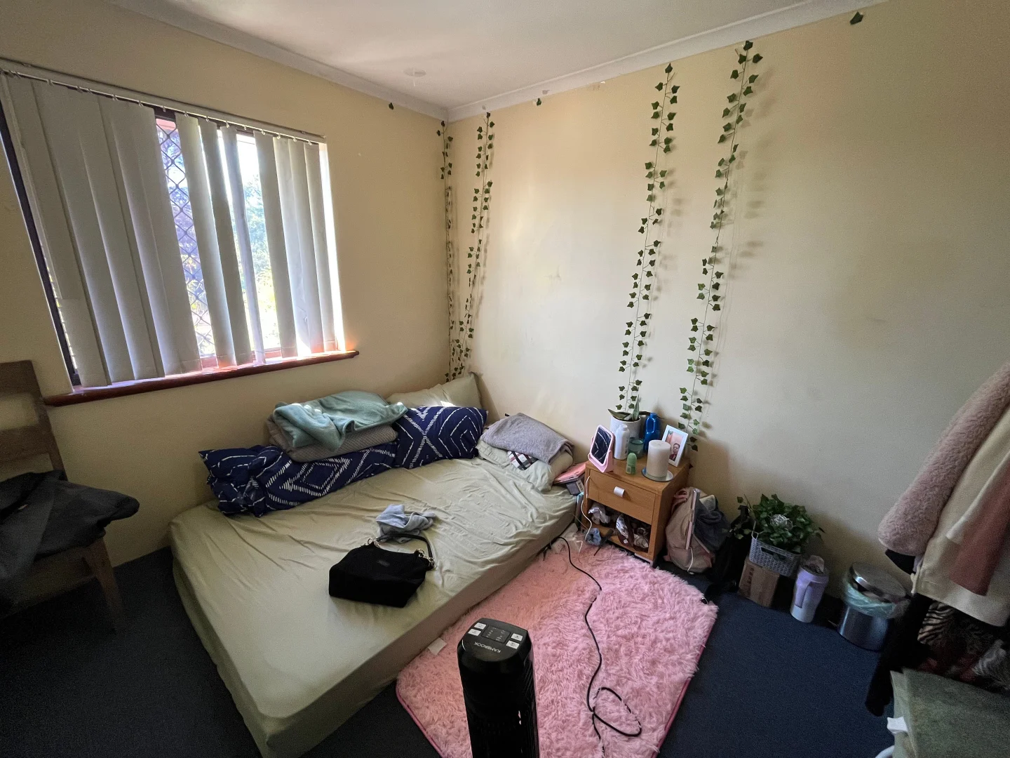 Image 12