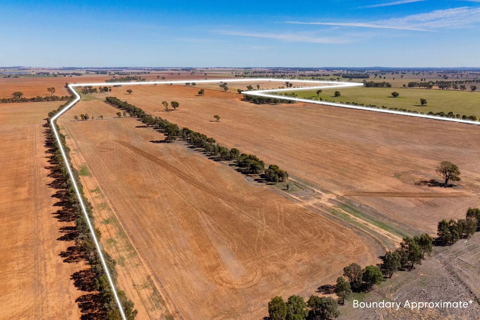 Additional image 4 of Combaning Road, Temora NSW 2666