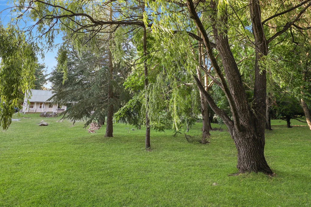 Image 19