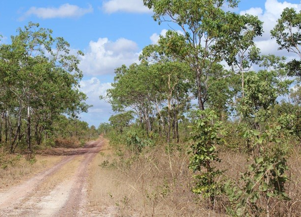 529 Owen Lagoon Road, Lake Bennett NT 0822