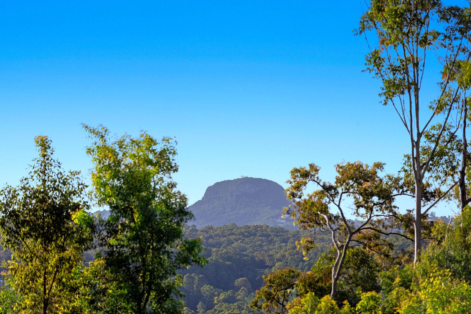 245 Upper Rosemount Road, Rosemount QLD 4560 House for Sale 1,050,000