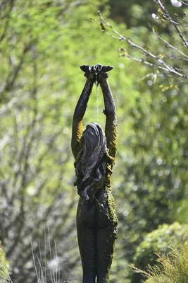 Image 28
