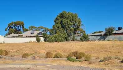 Picture of Lot 7/6 Cleary Street, PORT AUGUSTA WEST SA 5700