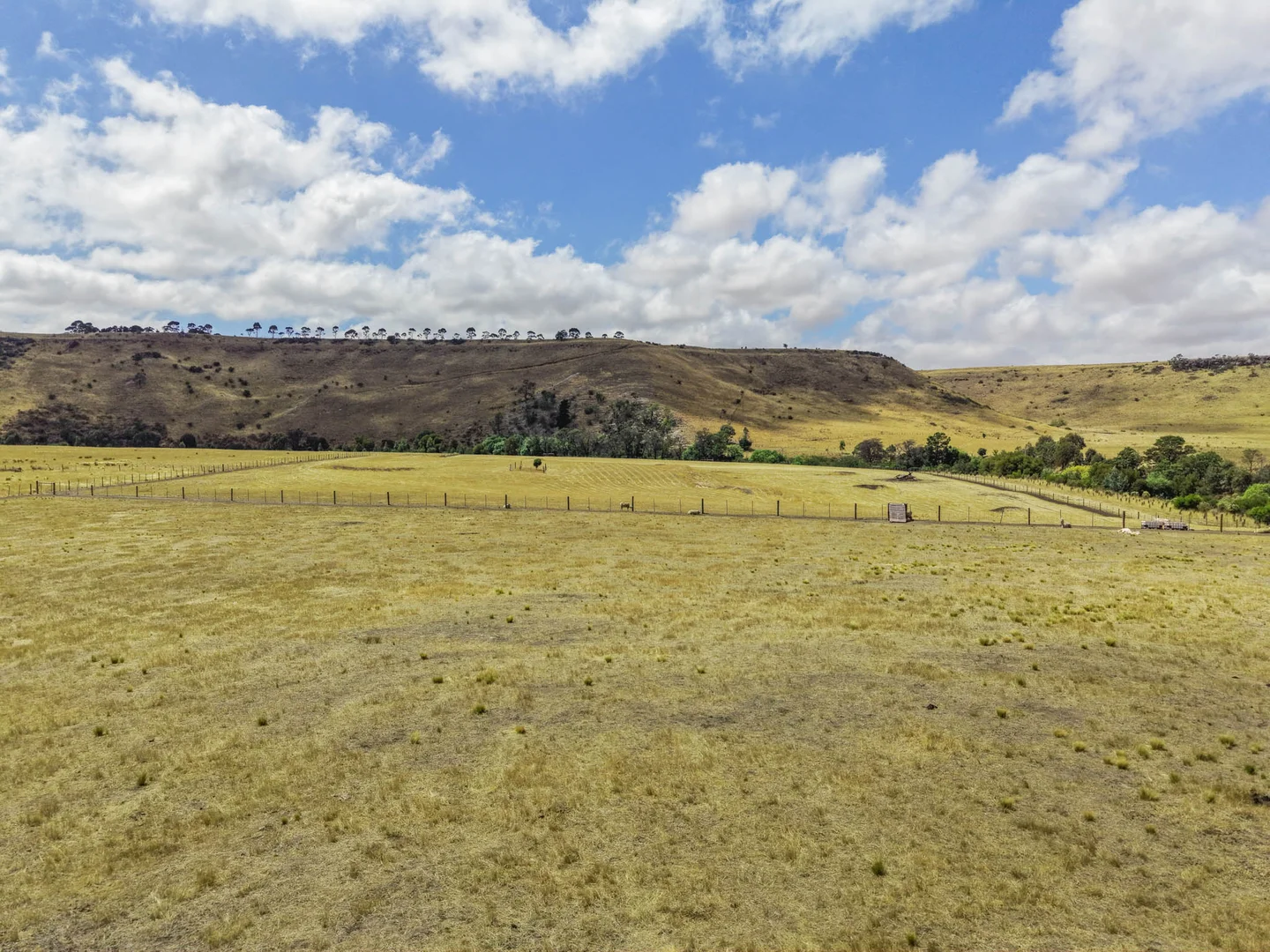 Image 30