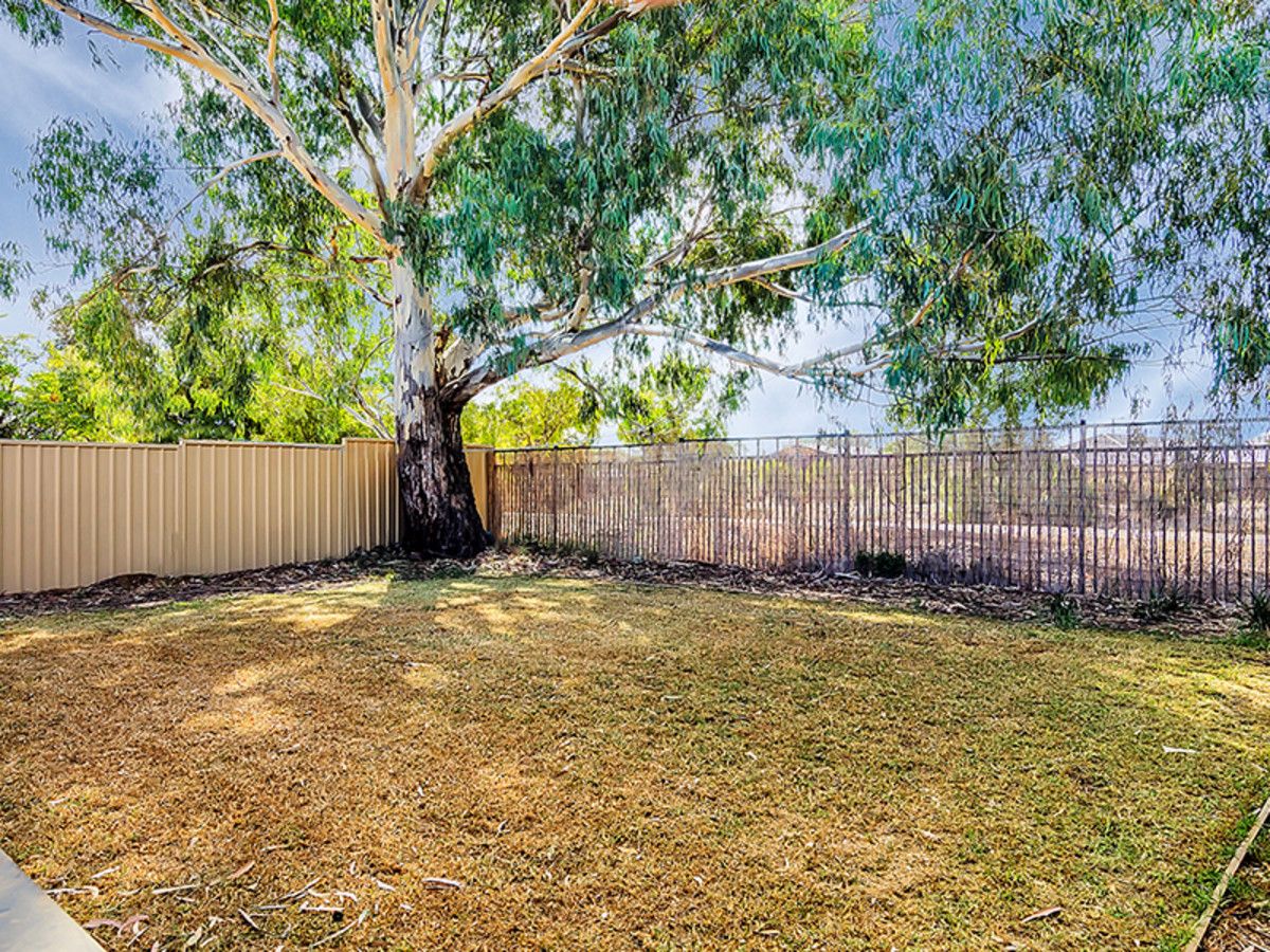 36 Tudor Crescent, Smithfield Plains SA 5114, Image 2